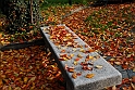 Parco Europa Autunno_011